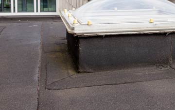 disadvantages of Lumphanan flat roofs